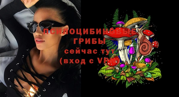 эйфоретик Бронницы