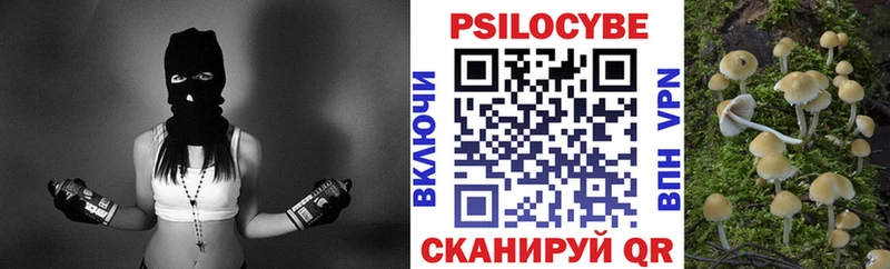 Галлюциногенные грибы Cubensis  как найти   Северская 